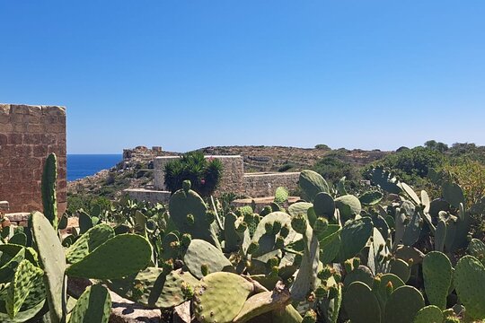 Tour image 7